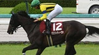 【阪神牝馬S予想】春のマイル女王目指す乙女たちの競演 GIへの直行切符をつかむ馬は