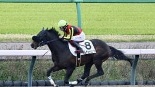 【中山6R】2番人気マルチライセンスが大出遅れで場内騒然…追走するも最下位入線