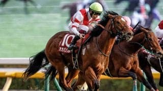 【豪・ドンカスターマイル結果】オオバンブルマイ海外連勝ならず13着 地元3歳馬がV