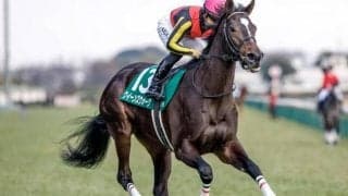 【桜花賞予想】買い時は今回ではなく次走？ 実力＆実績申し分ないクイーンC覇者の取捨