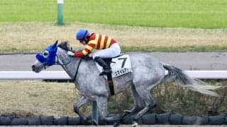 【中山12R】藤田菜七子騎乗、スマイルアップが逃げ切る