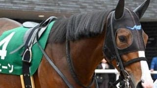 良血の珍名馬ヒヒーン 忘れな草賞を制しオークスへの道を切り開くか