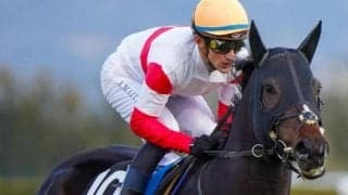 中内田厩舎の“1.6億円馬” ダイワスカーレットCで復活の狼煙を上げられるか