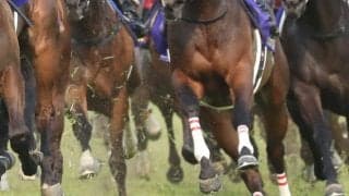 藤野健太調教師 JRA初勝利…「関係者の皆様に感謝」