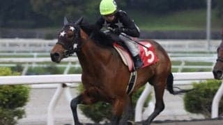 【高知・仙台屋桜特別】プリフロオールインが6連勝…宮川「不安もあった」