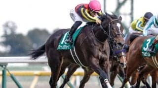 【桜花賞予想】満開の桜のもと素質が花開くか クラシックの幕開け飾る一戦