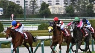 【桜花賞予想】圧倒的に強いのは2番人気のほう？ 過去10年データで探る混戦GI桜花賞