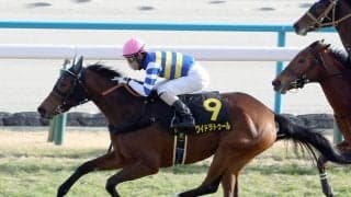 白熱の桜花賞はどの馬にもチャンスあり!?　過去の激走馬とよく似ている穴馬はこの３頭！