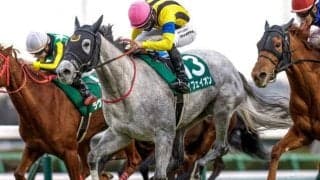 桜花賞当日の阪神芝は高速馬場 持ち時計のある差し馬が優勢か