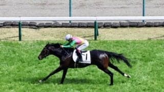 【福島8R】福永祐一厩舎初勝利！マルカブリッツが抜け出す