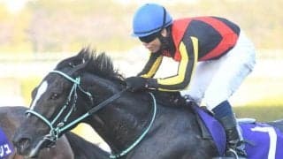 【桜花賞・馬体重】アスコリピチェーノは478kg(+10)、ステレンボッシュは462kg(-4)