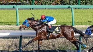 【京葉S結果】シアージストが2番手から抜け出し2連勝