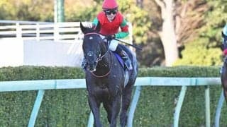 【中山GJ】マイネルグロン、イロゴトシらが登録