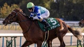 【アーリントンC】シヴァース、ディスペランツァらが登録