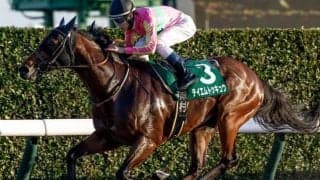 【大井・東京スプリント枠順】重賞連勝狙うテイエムトッキュウは6枠10番