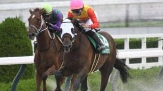 【アンタレスS】ハギノアレグリアス、ヴィクティファルスらが登録