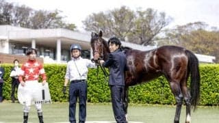 矢嶋大樹調教師が初勝利！ 「素直に嬉しいです。本当にほっとしました」