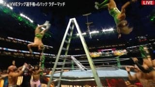 キケンすぎて場内騒然…ラダーの上から“2人同時”の衝撃ムーンサルト！ 10人一掃の瞬間「同時に飛ぶことで安定させた」