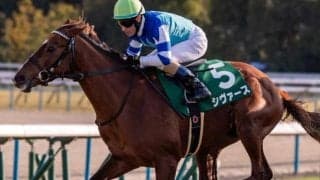 【アーリントンC見どころ】キャリア浅いが素質高いシヴァースに注目