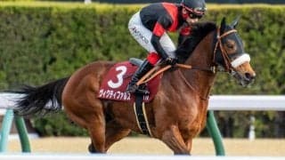 【アンタレスS見どころ】ダート適性高いヴィクティファルスが中心