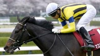 【阪神牝馬S】売上は34億1526万1100円で昨年より約2000万円増加