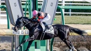 【先週のJRA抹消馬】中山ダ1800m巧者ホウオウルバン、良血馬ヒシゲッコウなど