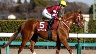 【皐月賞想定騎手】シンエンペラーは坂井瑠星騎手、ジャンタルマンタルは川田将雅騎手