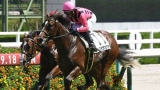 【アーリントンC想定騎手】ディスペランツァはJ.モレイラ騎手、シヴァースは川田将雅騎手