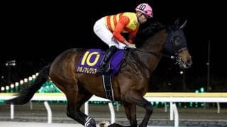 【アンタレスS想定騎手】ハギノアレグリアスは岩田望来騎手、テーオードレフォンは丸山元気騎手