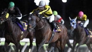 【大井・ブリリアントC枠順】5連勝中のサヨノネイチヤは7枠10番