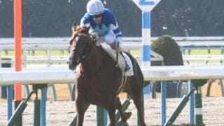 【アーリントンC展望】GI馬続出の3歳マイル重賞、素質馬シヴァースが中心