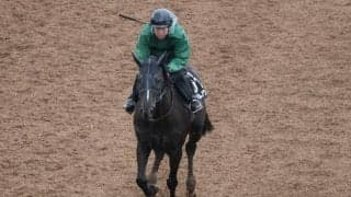 イーグルノワールなど、先週の入厩情報/栗東トレセンニュース