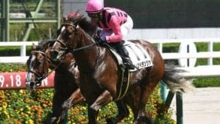 【アーリントンC予想オッズ】ディスペランツァが予想1番人気