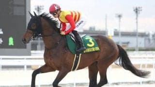 【アンタレスS予想オッズ】ハギノアレグリアスが予想1番人気