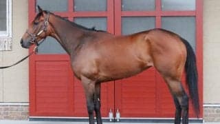 「文句の付けようがない馬体に進化」 皐月賞で“76年ぶり快挙”に現実味