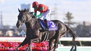 【中山GJ予想オッズ】マイネルグロンが予想1番人気