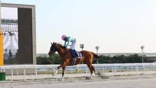 【名古屋・東海桜花賞】10歳馬アナザートゥルースが早目先頭から押し切る…服部「強気で進めました」