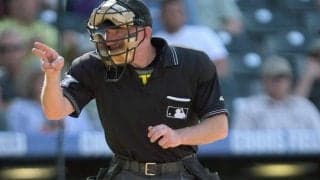 “ボール連発”であっという間に三振　1試合20回の誤審…多すぎるミスに米ファン抗議