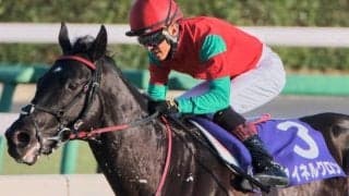 「ゴルシ産駒の星」マイネルグロン 史上6頭目のJGI連勝へ待ったなし