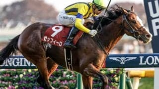 ゼッフィーロに右前浅屈腱炎が判明 9カ月以上の休養見込み