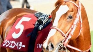 史上初となる外国産馬の皐月賞制覇なるか 15頭目の挑戦者は世界的良血馬シンエンペラー