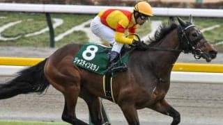 皐月賞無敗制覇のトレンド続くか 最少キャリアVへ2戦2勝の3頭エントリー