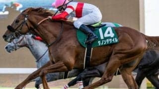 【皐月賞】横山典弘騎手がセイウンスカイ以来26年ぶりの2勝目なるか 京成杯覇者のダノンデサイルで参戦