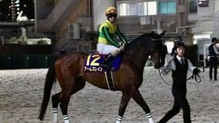 【東京スプリント】松若「リズムを崩しました」1番人気アームズレインは8着