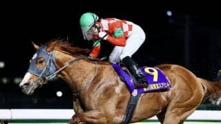 【東京スプリント】西啓太「がむしゃらに追うだけでした」地元ジャスティンが中央撃破