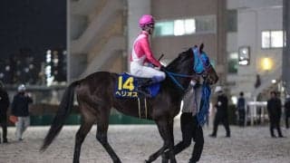 【東京スプリント】武豊「今は1200mがちょっと短いかも…」ヘリオスは4着敗退