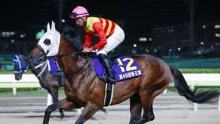 【アンタレスS展望】条件を全てクリアするハギノアレグリアスが中心