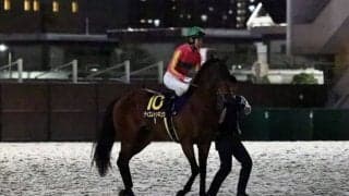 【東京スプリント】北村友「砂が深いせいか…伸びる脚が使えなかった」レース後ジョッキーコメント