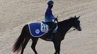 ソウルラッシュ、マイラーズC1週前追い切り速報/栗東トレセンニュース