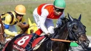 “5億円馬”が惜敗続きにピリオド打つか 舞台替わりで今度こそ